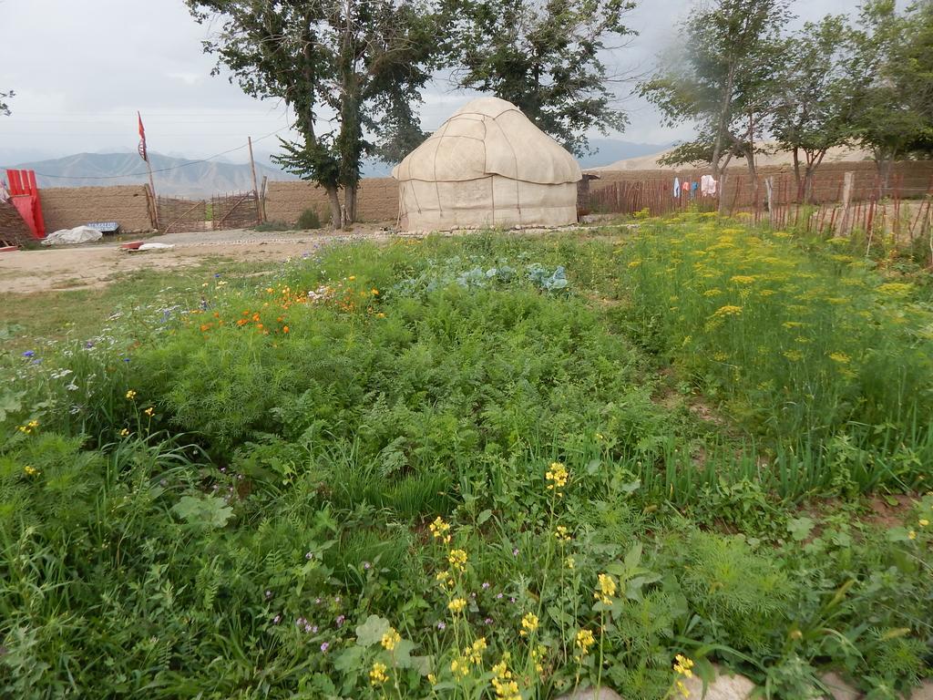 Jurten Camp Almaluu Tong Exterior photo